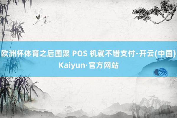 欧洲杯体育之后围聚 POS 机就不错支付-开云(中国)Kaiyun·官方网站