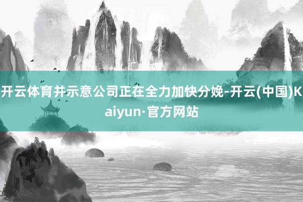 开云体育并示意公司正在全力加快分娩-开云(中国)Kaiyun·官方网站