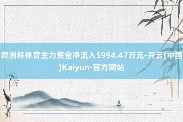 欧洲杯体育主力资金净流入5994.47万元-开云(中国)Kaiyun·官方网站