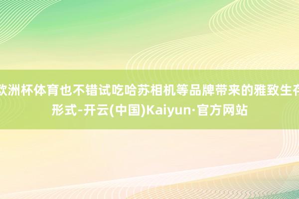 欧洲杯体育也不错试吃哈苏相机等品牌带来的雅致生存形式-开云(中国)Kaiyun·官方网站