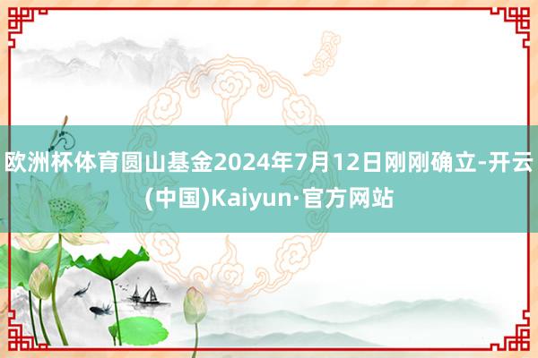 欧洲杯体育圆山基金2024年7月12日刚刚确立-开云(中国)Kaiyun·官方网站