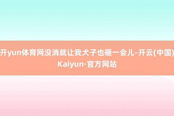 开yun体育网没消就让我犬子也砸一会儿-开云(中国)Kaiyun·官方网站