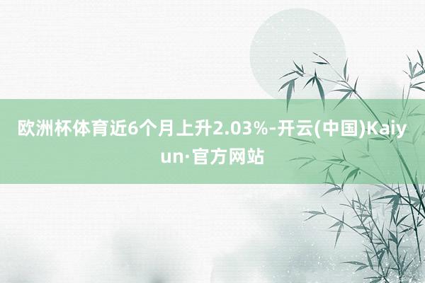 欧洲杯体育近6个月上升2.03%-开云(中国)Kaiyun·官方网站