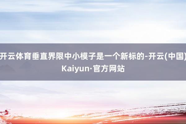 开云体育垂直界限中小模子是一个新标的-开云(中国)Kaiyun·官方网站