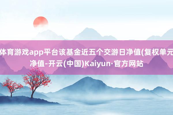 体育游戏app平台该基金近五个交游日净值(复权单元净值-开云(中国)Kaiyun·官方网站